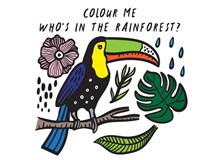ספרי אמבטיה נצבעים במים - מי ביער גשם?